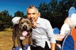 César Millán inicia una cruzada contra el abandono de los perros en España
