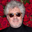 Pedro Almodóvar no asistió a la gala para subir a recibir el premio